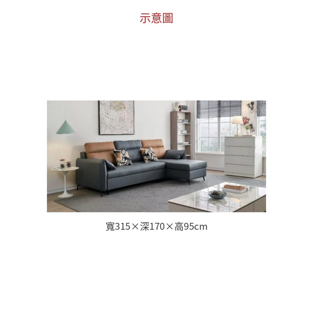 2026 #225 沙發床組 / 跳色 ( 羽絨款)