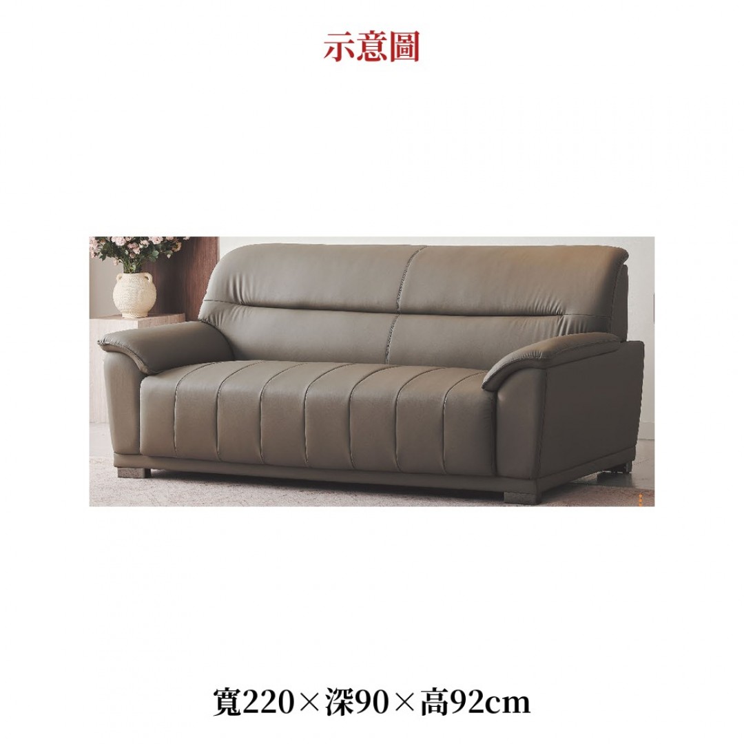 2026 態皮直紋沙發生