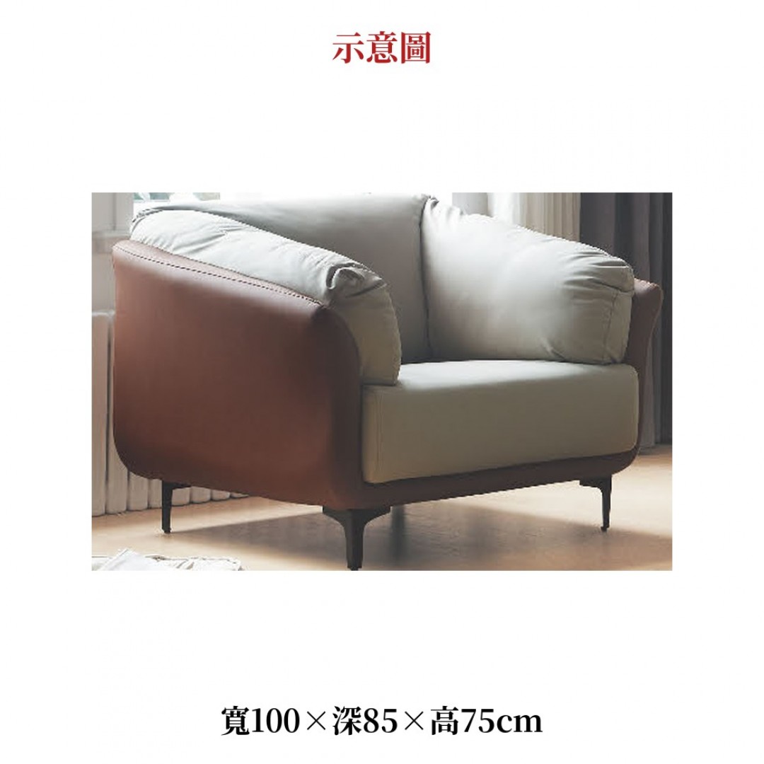 2026 本貓抓皮沙發小橋
