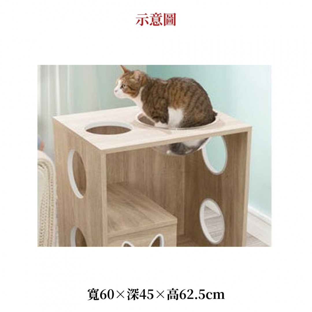 2026 空球貓櫃太