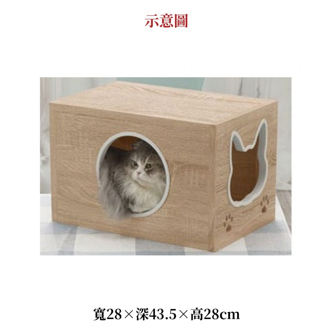 2026 癒貓踏踏箱療