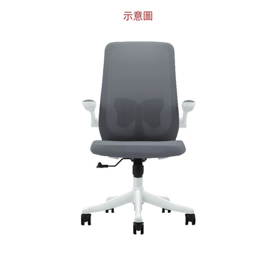 2026 蝴蝶網椅